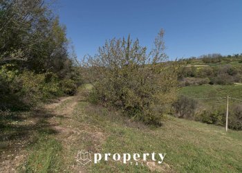 Rustico Montefiore dell'Aso - foto 19