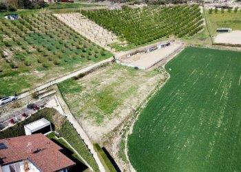 Terreno edificabile Piobesi d'Alba - foto 5