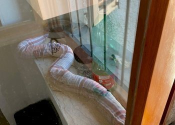 dettagli - Trilocale Strada San Martino dei Colli 12, Perugia - foto 27