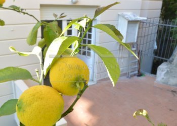 DSC_6187.JPG - Appartamento Via Montegrappa 4, Savona - foto 19