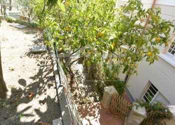 DSC_6190.JPG - Appartamento Via Montegrappa 4, Savona - foto 23