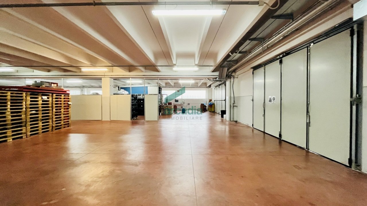interno capannone - Commercial Premises Contrada Parco Vecchio 11, Bitritto - photo 2