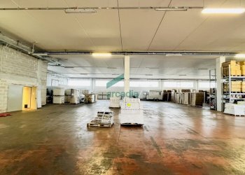 interno capannone - Commercial Premises Contrada Parco Vecchio 11, Bitritto - photo 4