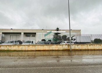 esterno capannone - Commercial Premises Contrada Parco Vecchio 11, Bitritto - photo 20