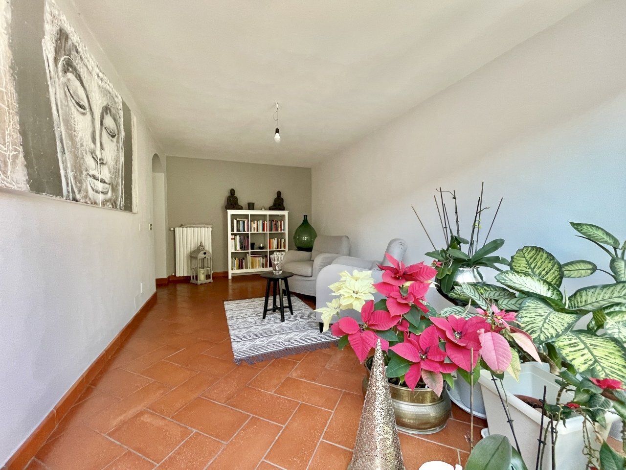 IMG_3771.jpg - Porzione di casa Pietrasanta - foto 3