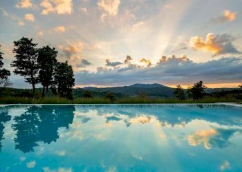 Dettagli - Agriturismo frazione Madonna dell'Olmo, Cuneo - foto 6