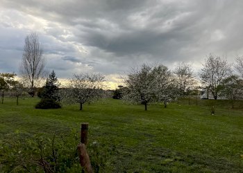 Bilocale via Bentivogli, 100, Molinella - foto 4