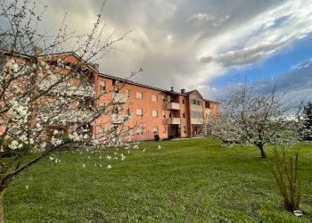 Bilocale via Bentivogli, 100, Molinella - foto 3