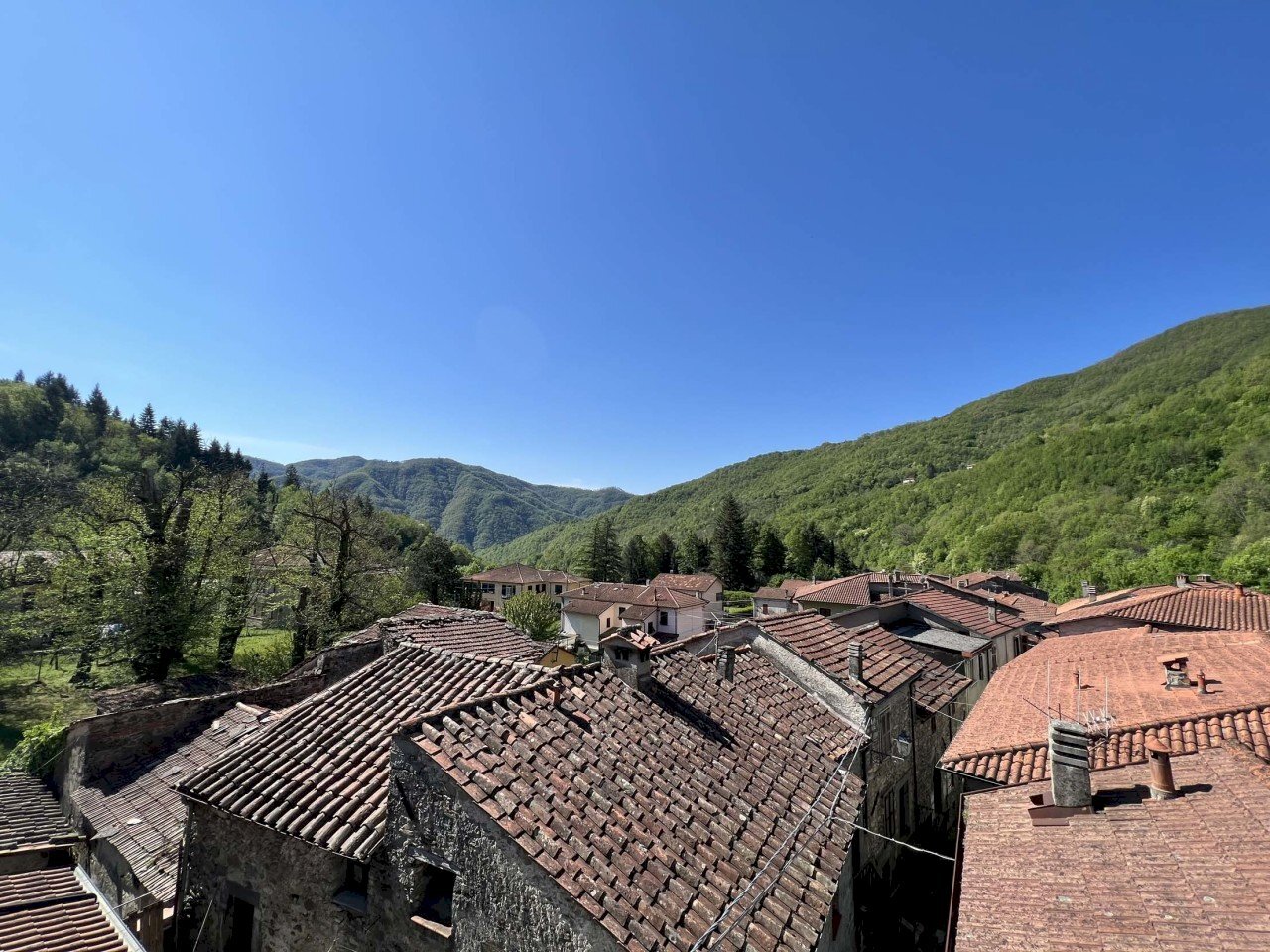 IMG_2088.jpg - Villa Licciana Nardi - foto 2