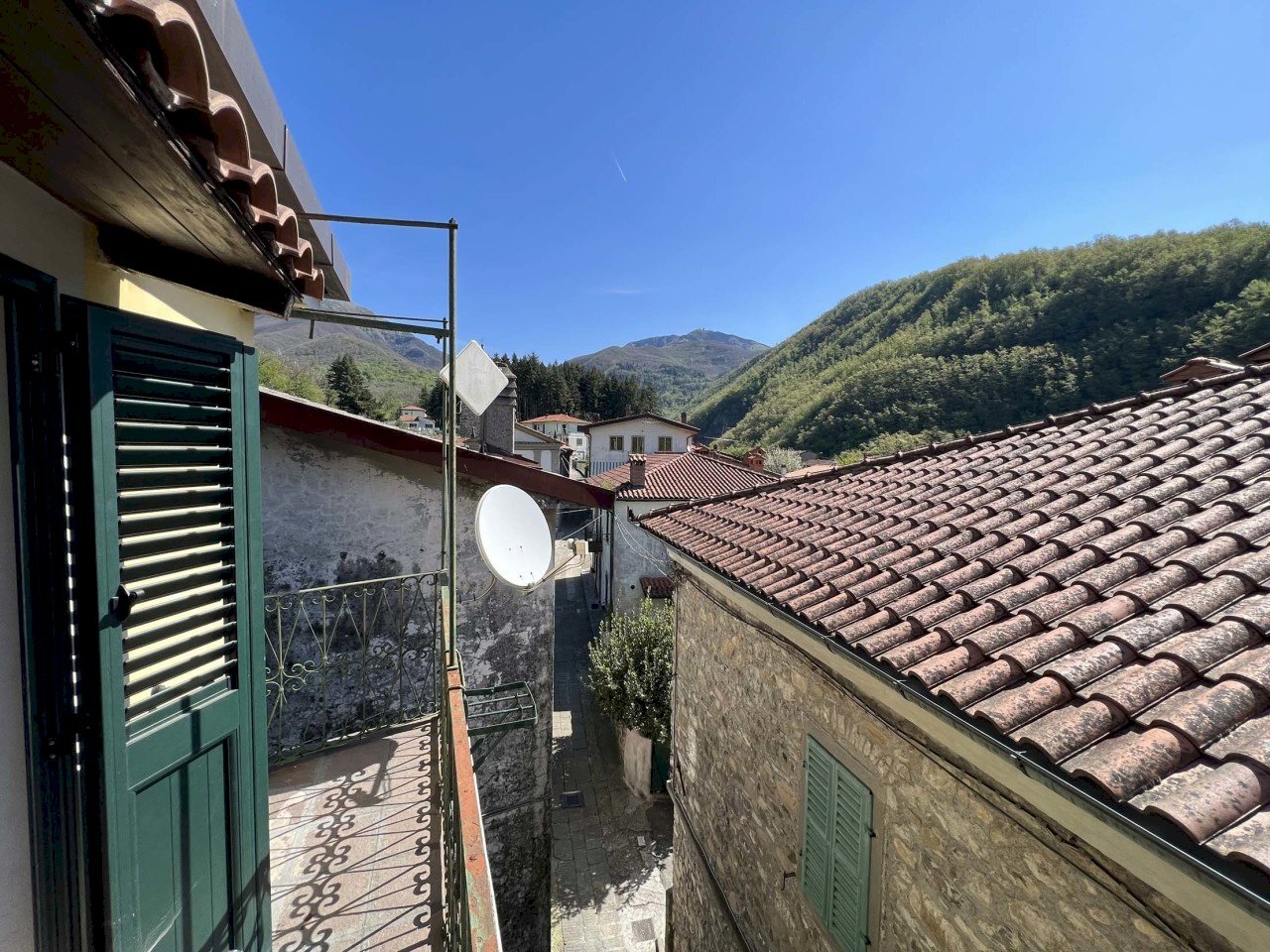 IMG_2089.jpg - Villa Licciana Nardi - foto 3