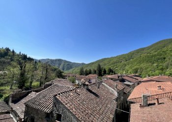 IMG_2088.jpg - Villa Licciana Nardi - foto 2