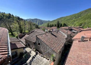 IMG_2097.jpg - Villa Licciana Nardi - foto 5