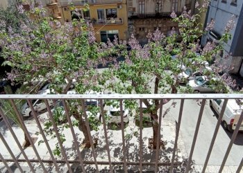 IMG_20230511_103842.jpg - Appartamento Ragusa - foto 1