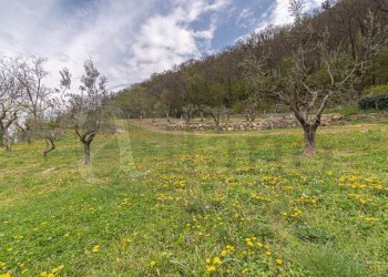 Villa Unifamiliare Via Vecchia Sferracavallo, Atina - foto 22