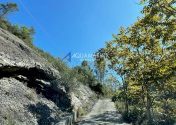 Single Family Villa Dolceacqua - photo 22