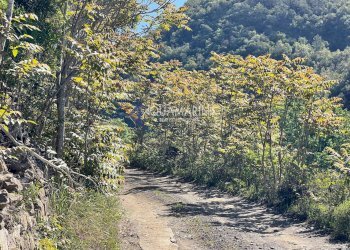 Single Family Villa Dolceacqua - photo 27