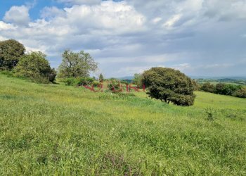 Rustico Scansano - foto 6