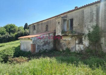 Rustico Scansano - foto 10