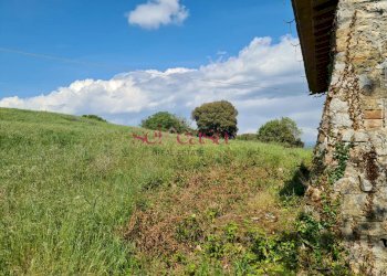 Rustico Scansano - foto 12