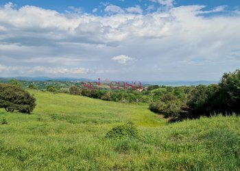 Rustico Scansano - foto 13