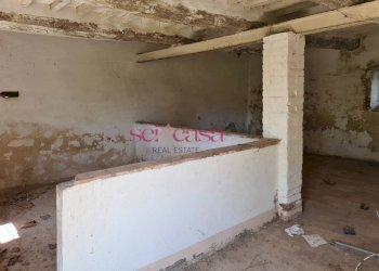 Rustico Scansano - foto 16