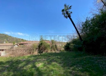 WhatsApp Image 2022-04-20 at 13.54.05.jpeg - Rustico San Zenone degli Ezzelini - foto 4