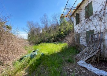 WhatsApp Image 2022-04-20 at 13.54.06 (1).jpeg - Rustico San Zenone degli Ezzelini - foto 5