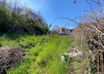 WhatsApp Image 2022-04-20 at 13.54.06 (6).jpeg - Rustico San Zenone degli Ezzelini - foto 9