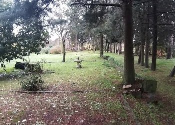 GIARDINO - Villa Via Adolfo Consolini 7, Magione - foto 7