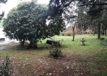 GIARDINO - Villa Via Adolfo Consolini 7, Magione - foto 8