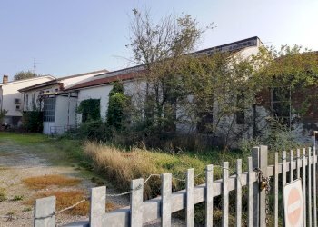 20221018_154951.jpg - Terratetto - Terracielo Strada del Fienile 30, Sorbolo Mezzani - foto 5