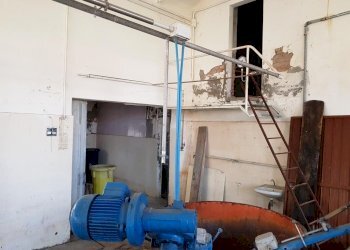 20221018_155437.jpg - Terratetto - Terracielo Strada del Fienile 30, Sorbolo Mezzani - foto 7