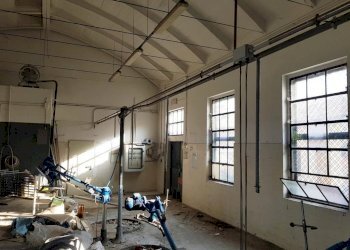 20221018_155441.jpg - Terratetto - Terracielo Strada del Fienile 30, Sorbolo Mezzani - foto 8