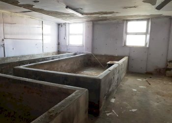 20221018_155636.jpg - Terratetto - Terracielo Strada del Fienile 30, Sorbolo Mezzani - foto 10