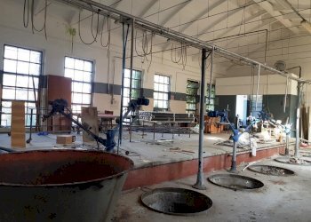 20221018_155655.jpg - Terratetto - Terracielo Strada del Fienile 30, Sorbolo Mezzani - foto 12