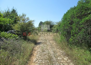 IMG_2981.JPG - Casale Unnamed Road, Martina Franca - photo 4