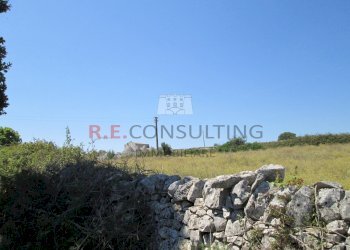 IMG_2998.JPG - Casale Unnamed Road, Martina Franca - photo 7