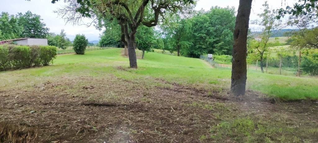 Rustico Asti - foto 3