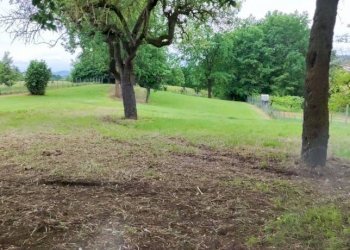 Rustico Asti - foto 3