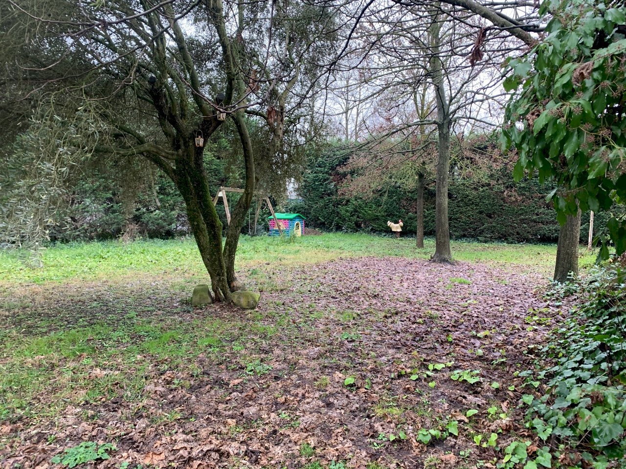 Building land Bagnolo in Piano - photo 3