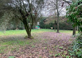 Terreno edificabile Bagnolo in Piano - foto 3