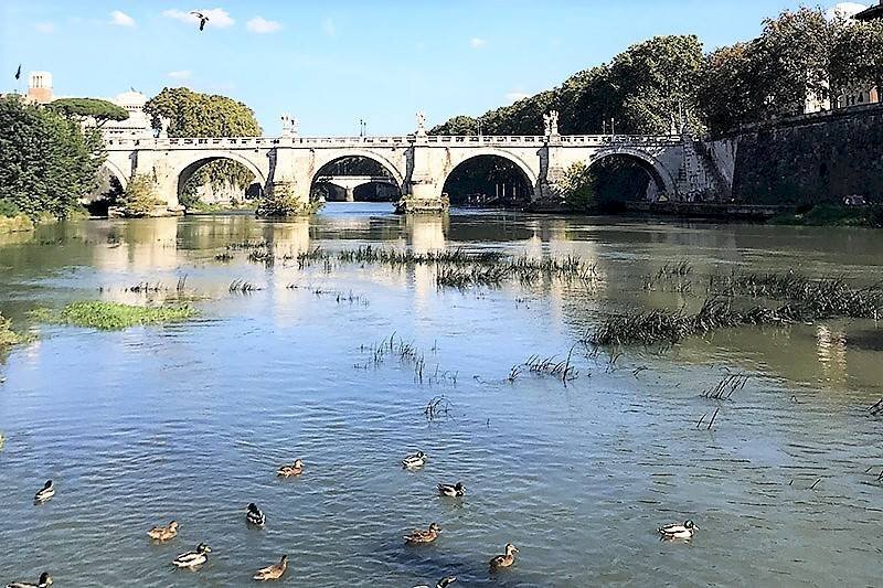 dintorni - Appartamento via dei Coronari, 200, Roma (zona Centro Storico) - foto 1