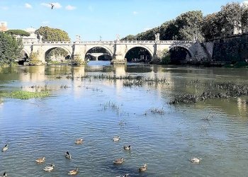 dintorni - Appartamento via dei Coronari, 200, Roma (zona Centro Storico) - foto 1