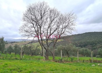 Rustico Roccastrada - foto 9