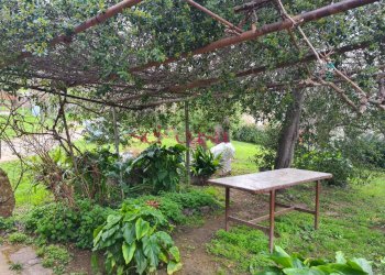 Rustico Roccastrada - foto 11