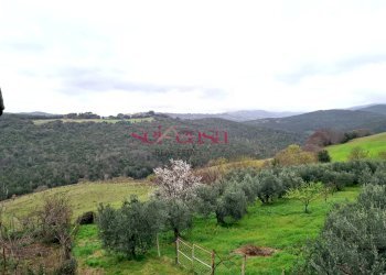 Rustico Roccastrada - foto 16