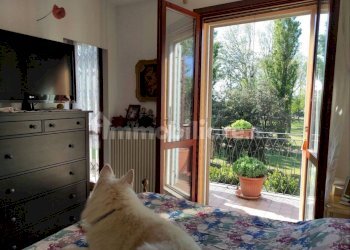 FOTO 9.jpg - Villa a Schiera Viale Panzini, San Mauro Pascoli - foto 6