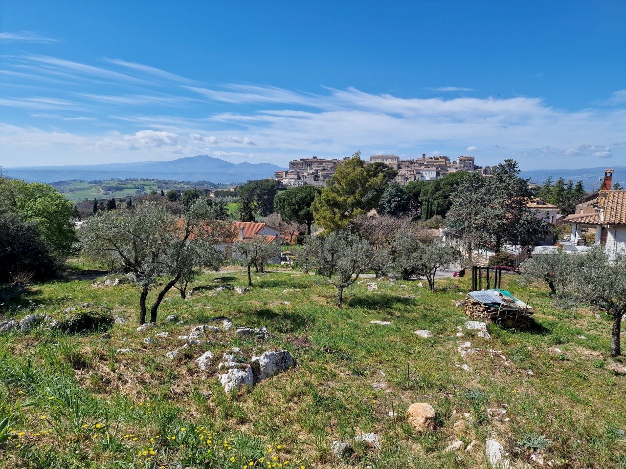 20230412_113329.jpg - Terreno edificabile Via Madonna dei Pini, Lugnano in Teverina - foto 1