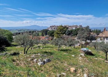 20230412_113329.jpg - Terreno edificabile Via Madonna dei Pini, Lugnano in Teverina - foto 1