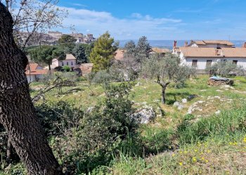 20230412_113301.jpg - Terreno edificabile Via Madonna dei Pini, Lugnano in Teverina - foto 2